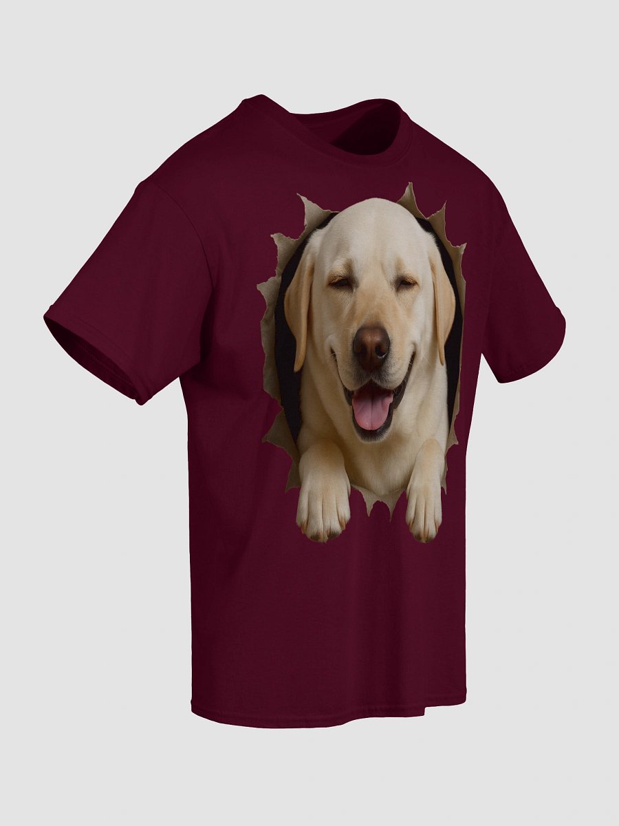 Peekaboo Labrador Puppy product image (44)