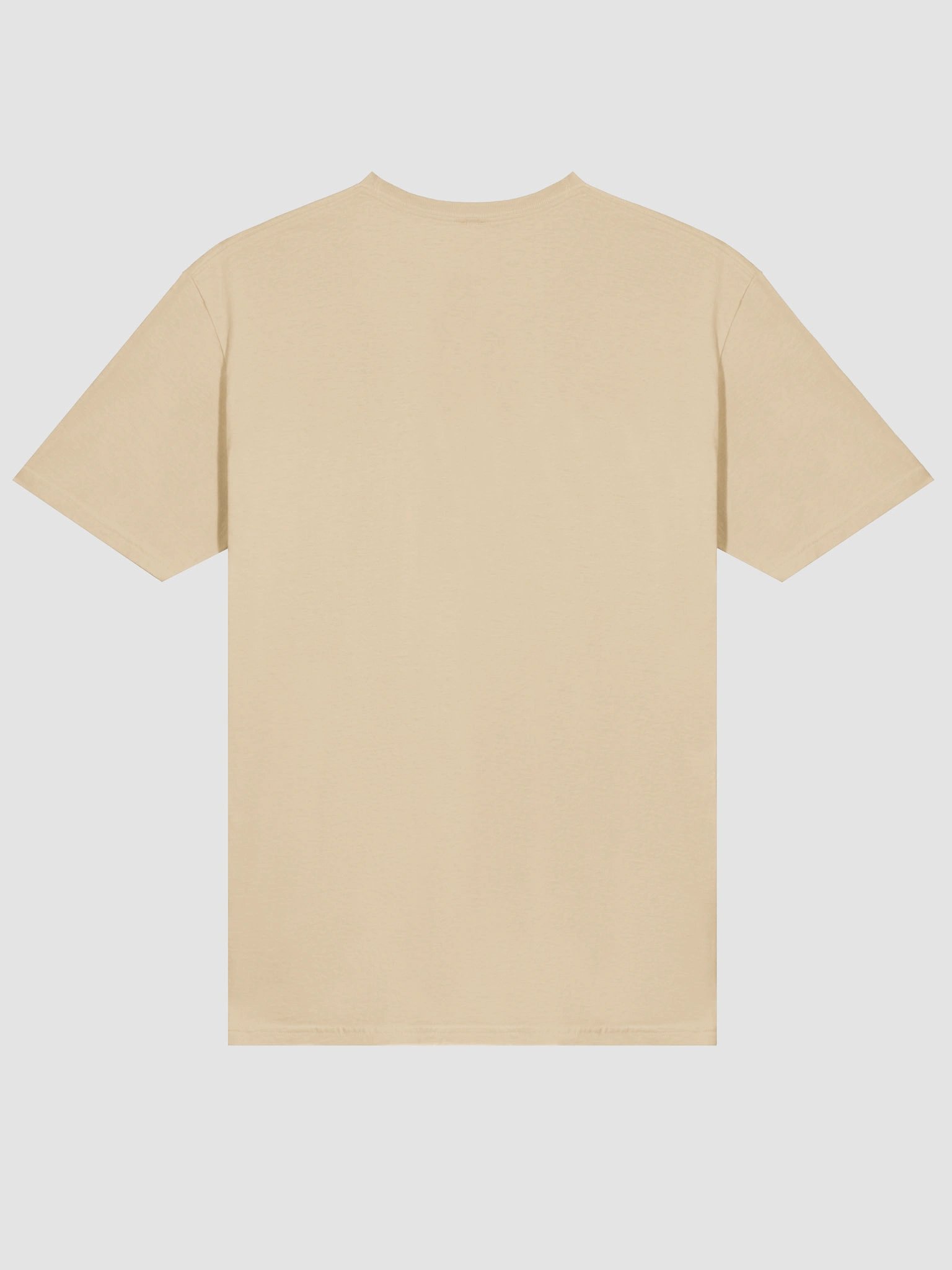 No Rest for the Wicked product image (4)