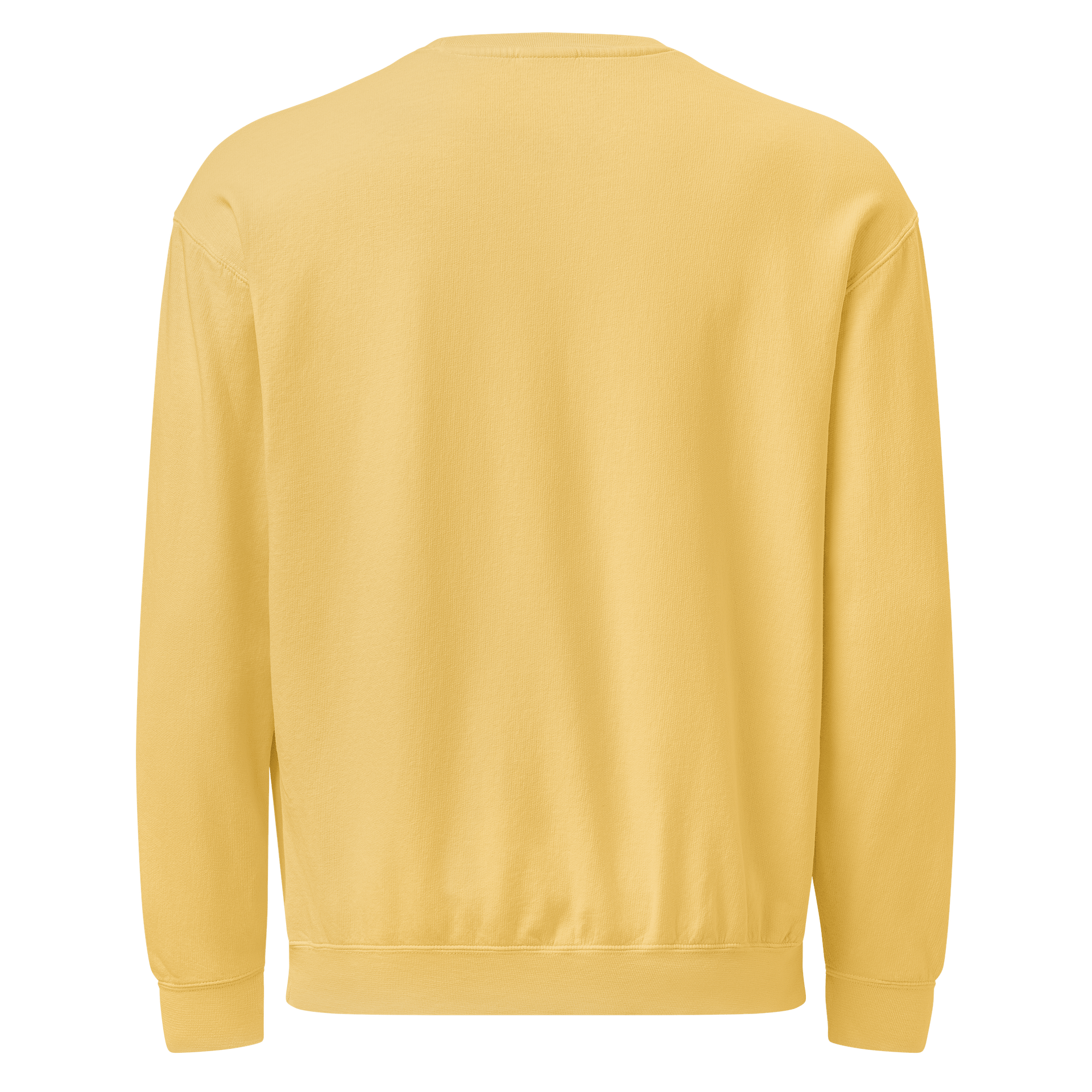 Soaring Big Beautiful Day Crewneck product image (4)