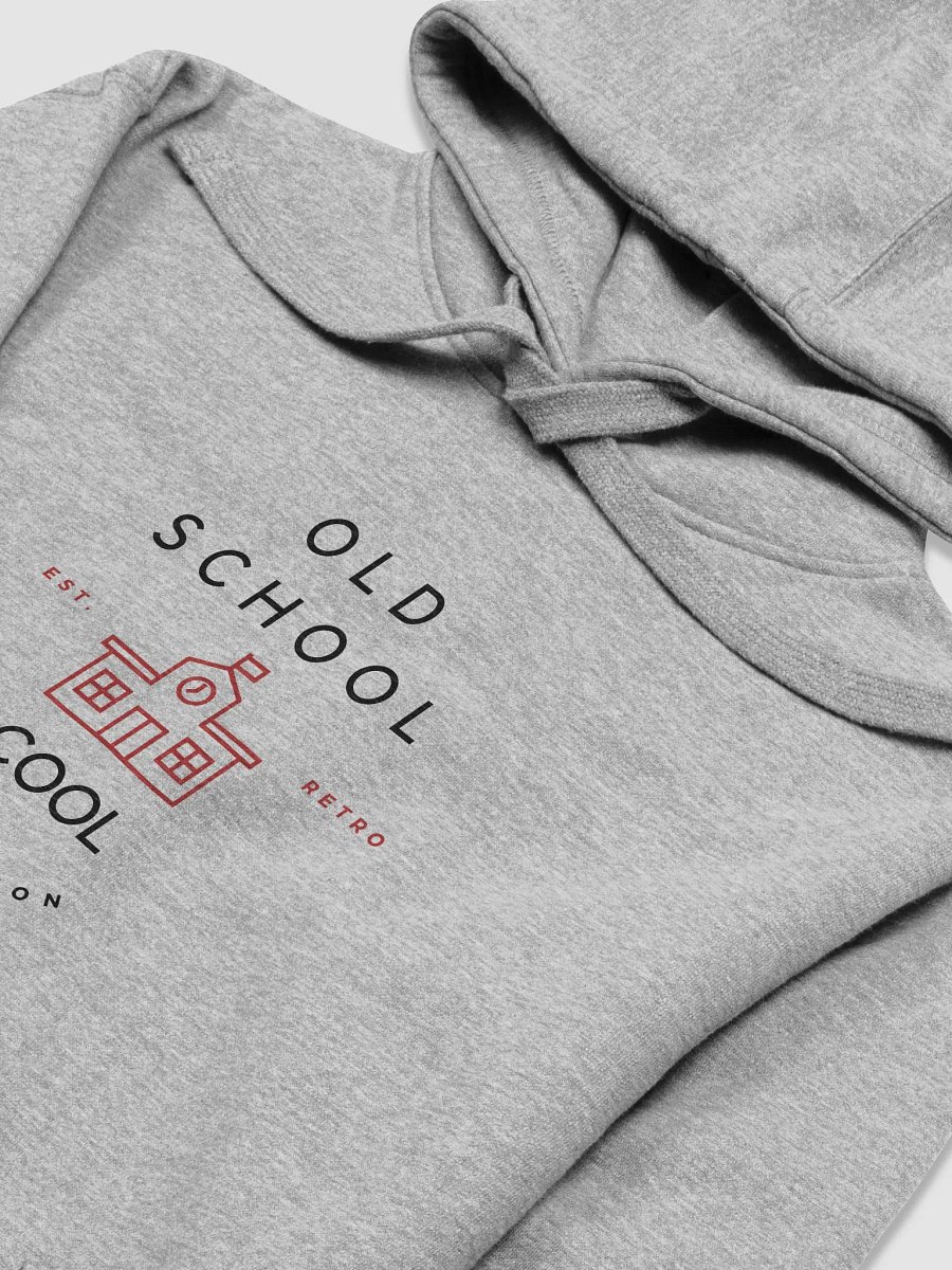 Vintage Schoolhouse Premium Hoodie product image (3)