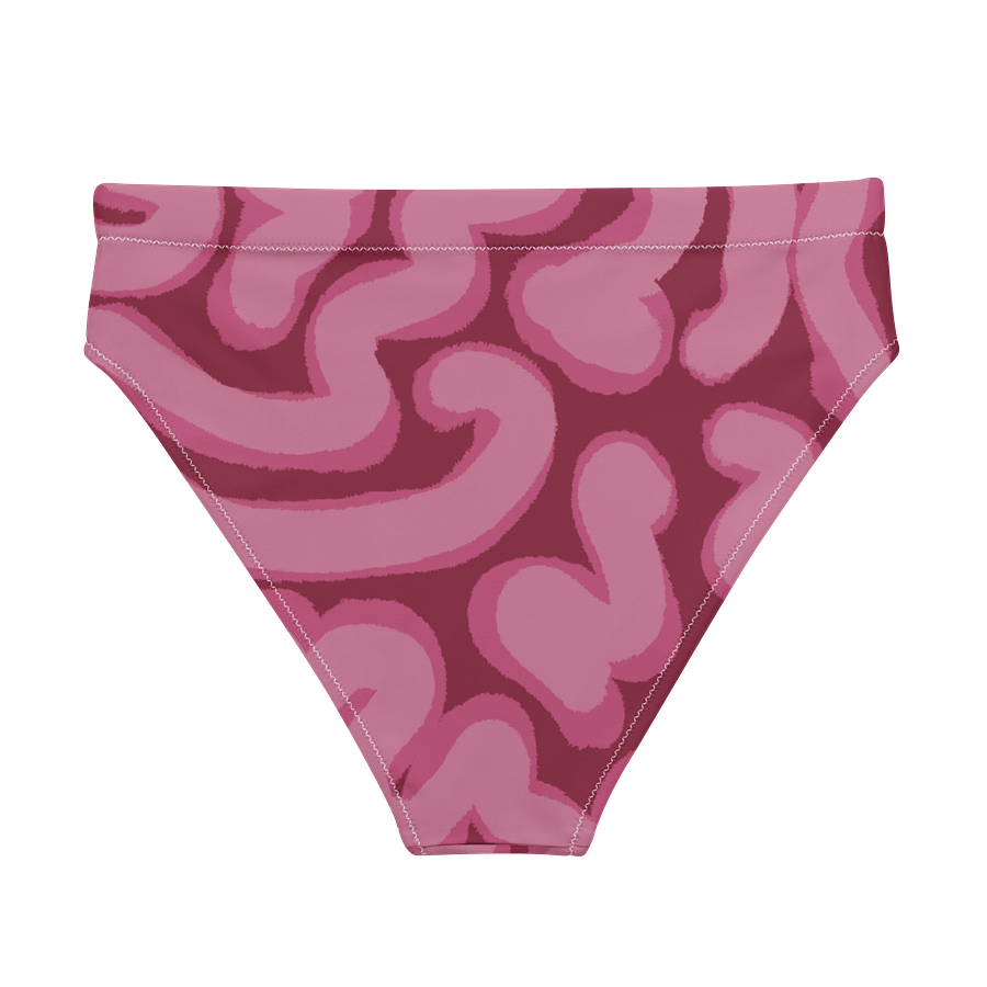 "BRAAAAIIIINNNS!" High-Waisted Bikini Bottoms product image (6)