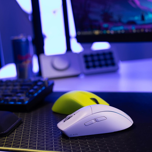 Which M75 Gaming Mouse is right for you? Keep watching to find out 🐭✨

#CorsairPartner #M75Air 
#gamingmouse #bestgamingmouse