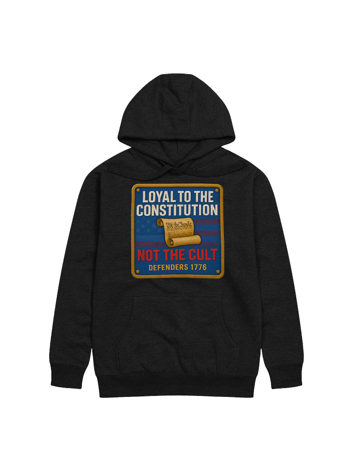 Constitutional Defender Premium Hoodie product image (7)