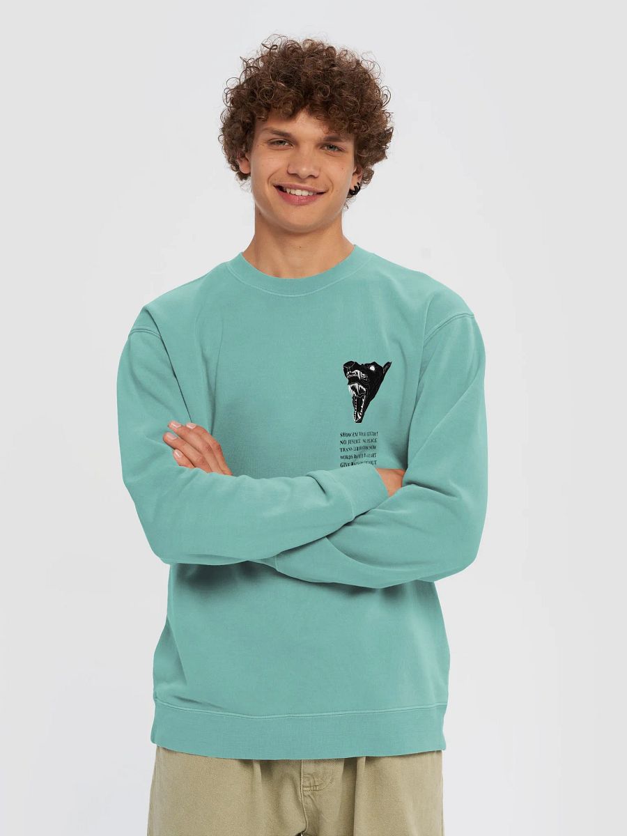 Show Em crewneck 1 product image (3)