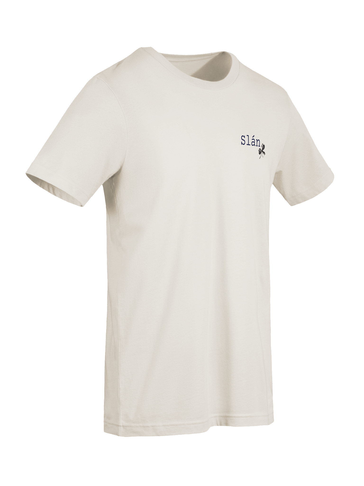 The Real Irish Goodbye Tee product image (7)