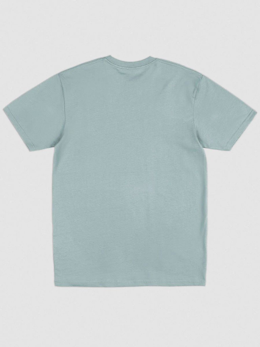 Bubbly and a B*tch Heavyweight Tee product image (2)