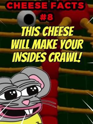 Would you try this cheese? 🐭🧀🤔🤮 #cheese #foodtiktok #interestingfacts #casumarzu #cheeselover #cheesefacts #fyp #foryoupage #interesting @Mousey MCcheese 