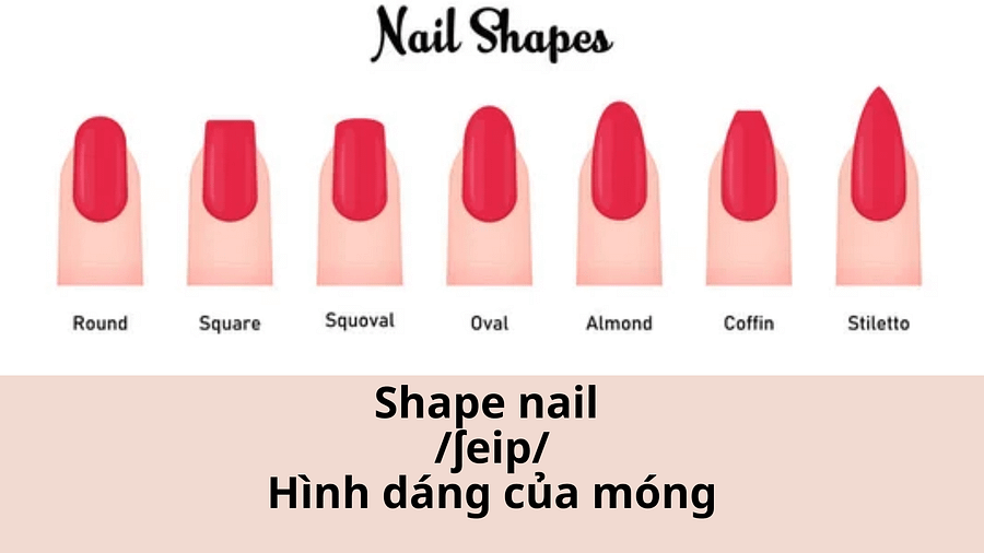 Vocabulary about nail styles and instruments (PDF file) product image (5)