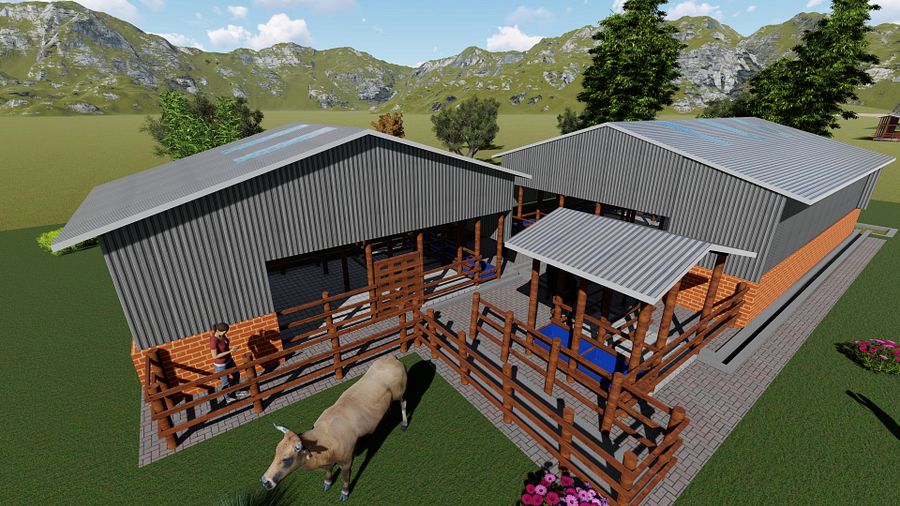 10 Dairy Cows Design Plan product image (2)