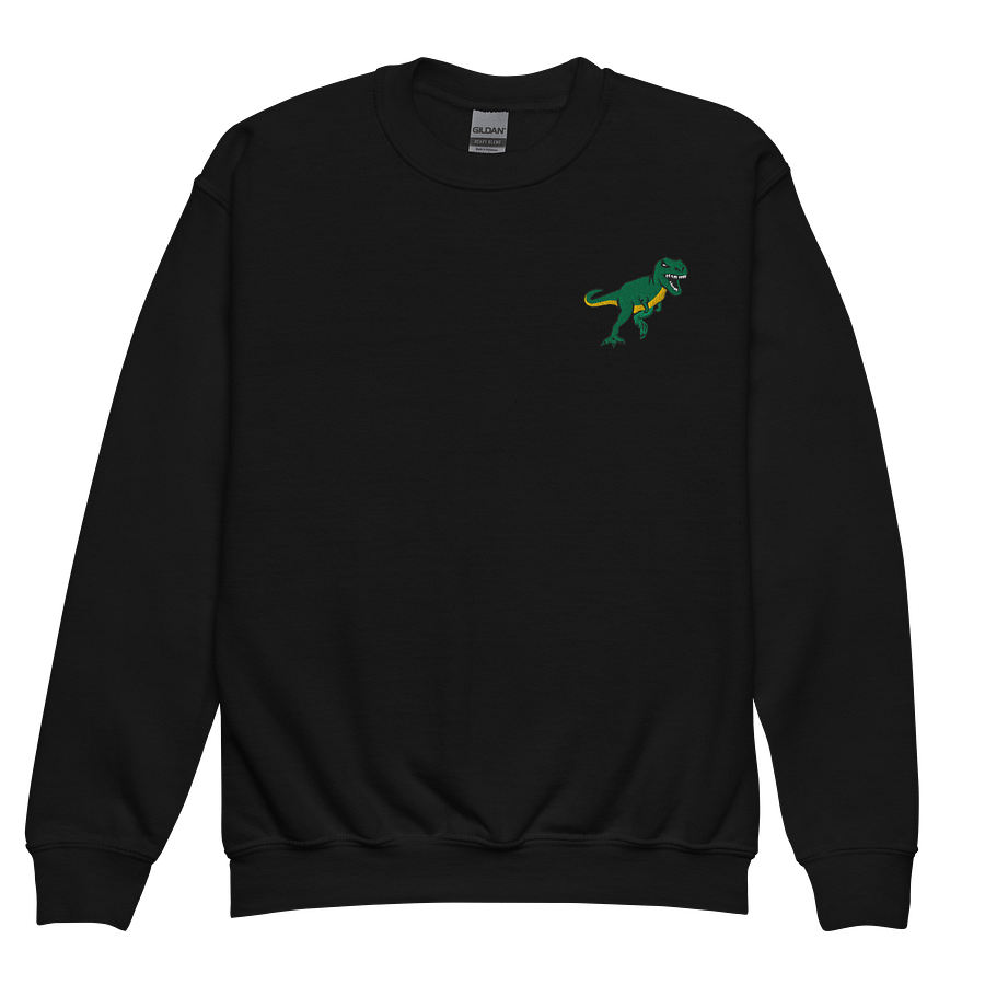 Youth Tyrannosaurs Rex Embroidered Sweatshirt product image (1)