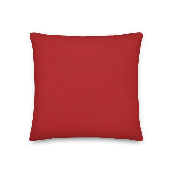 Vintage-Style Holiday Pillow – Red & Green Christmas Pattern product image (2)
