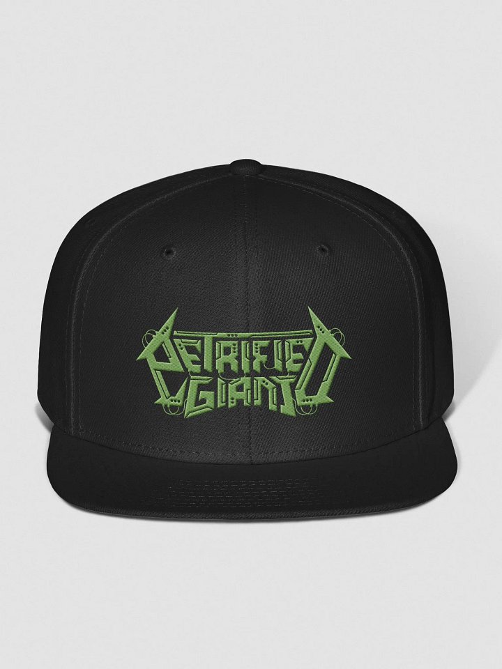 Green logo Snapback Hat product image (1)