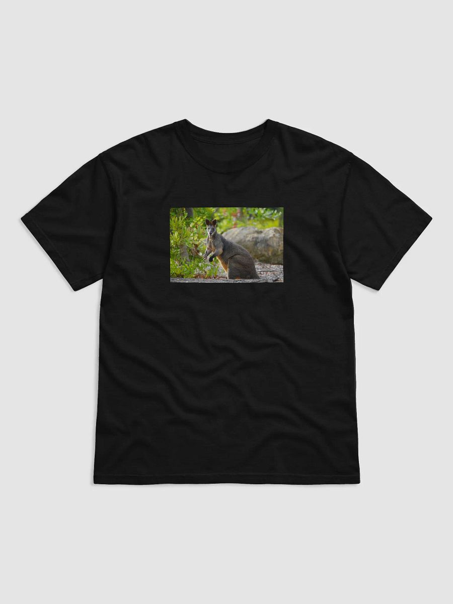 The Kangaroo War product image (1)