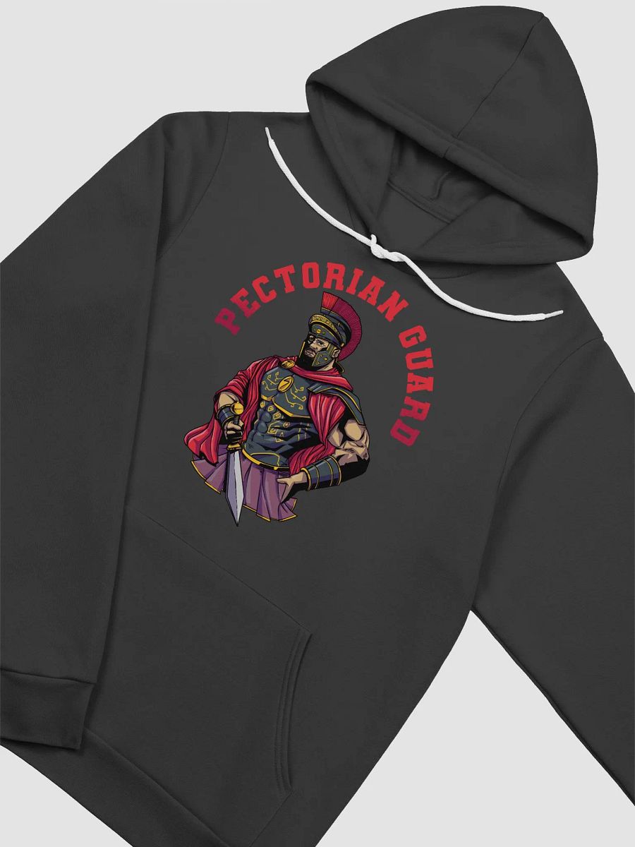 Pectorian Guard Hoodie product image (13)