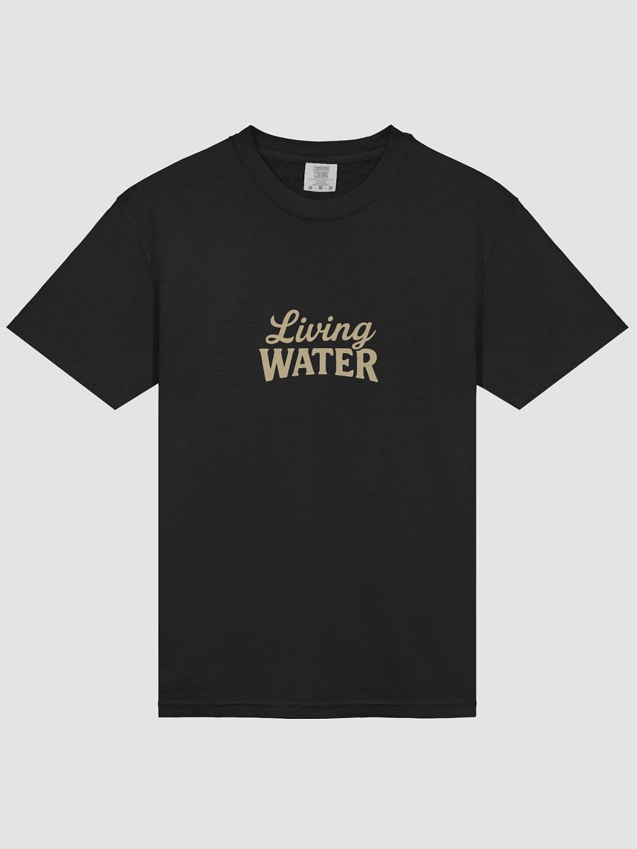 Living Water Heavyweight T-Shirt product image (3)