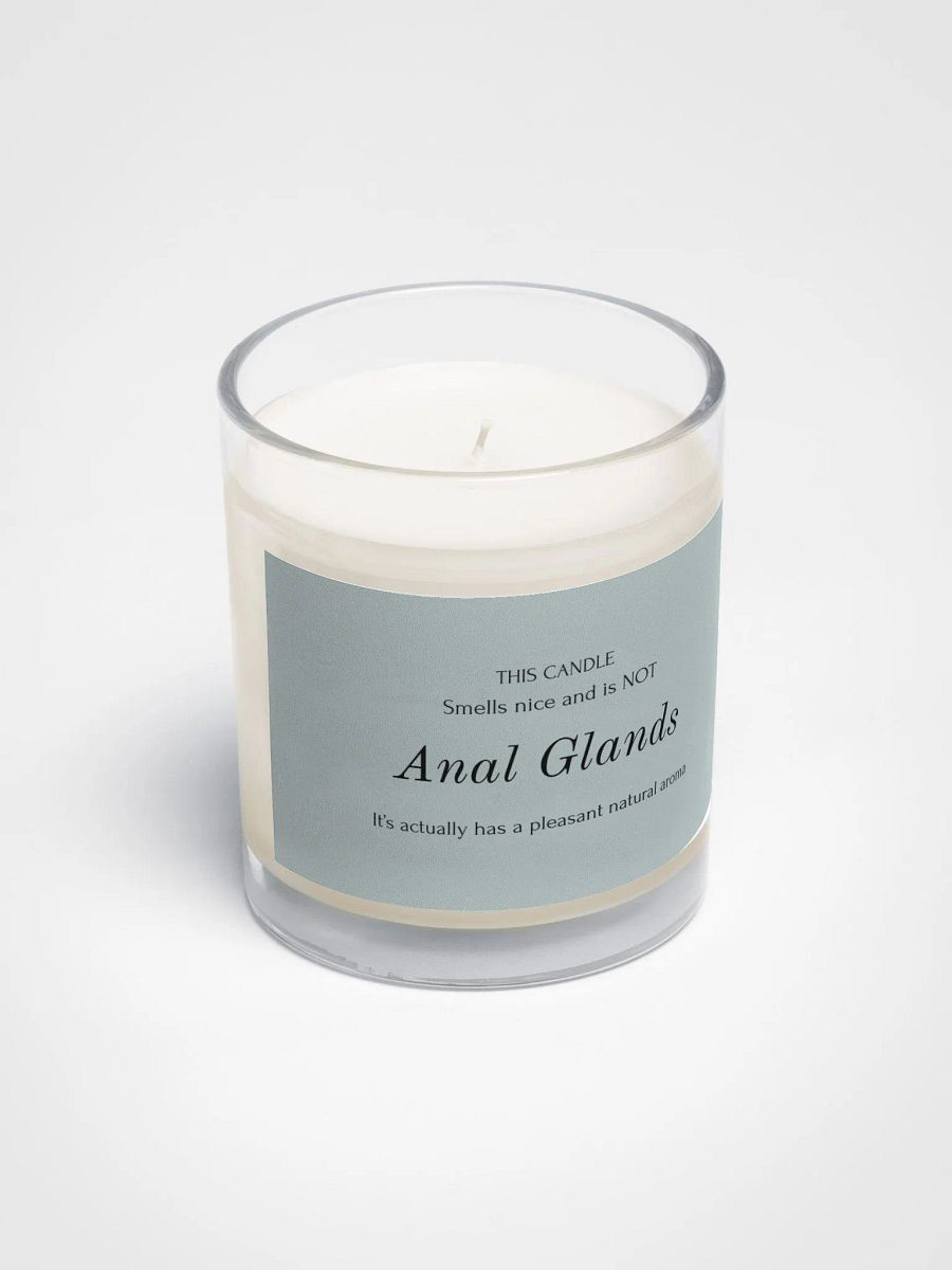 Veterinary humor candle "anal glands" product image (2)