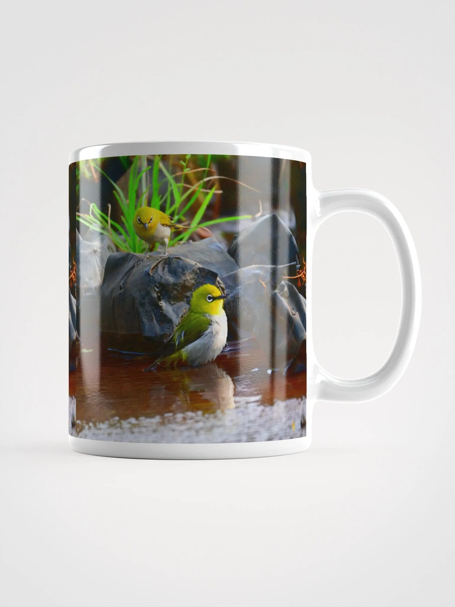 IUCAA Birds MUG product image (1)