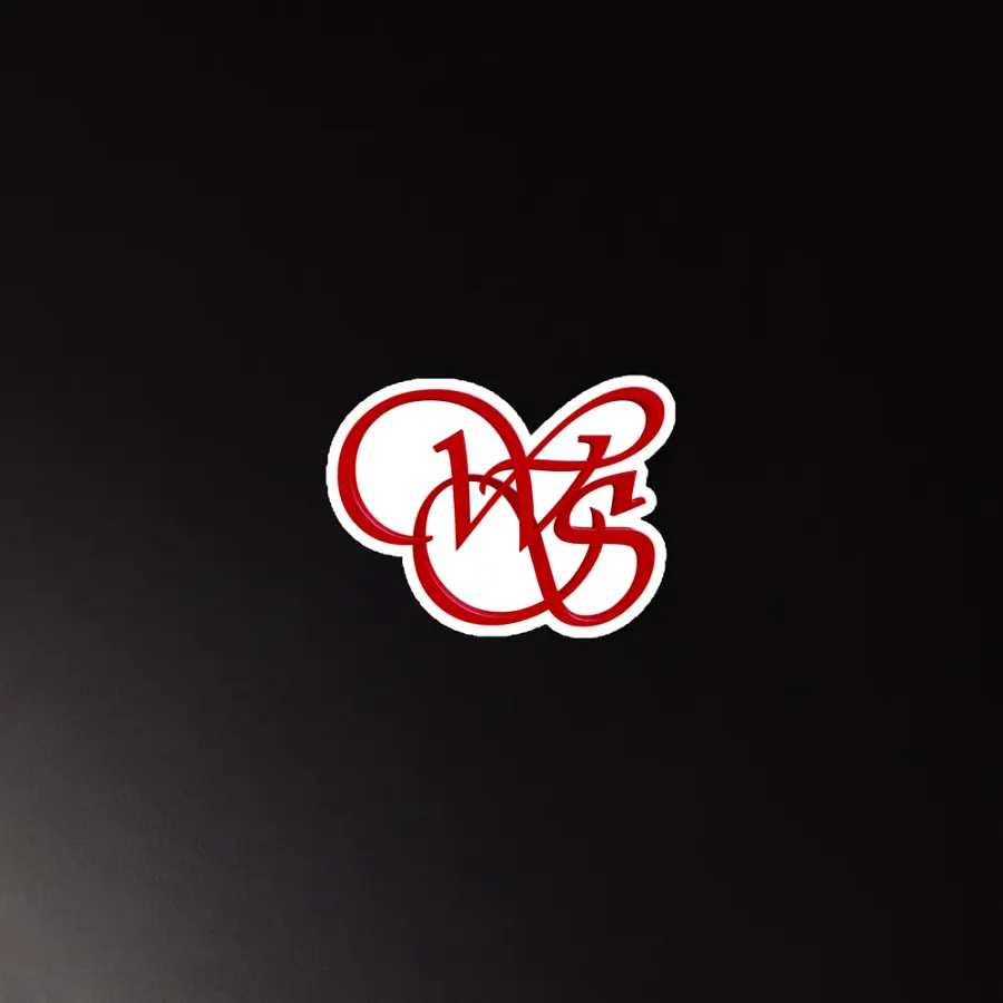 WS 4