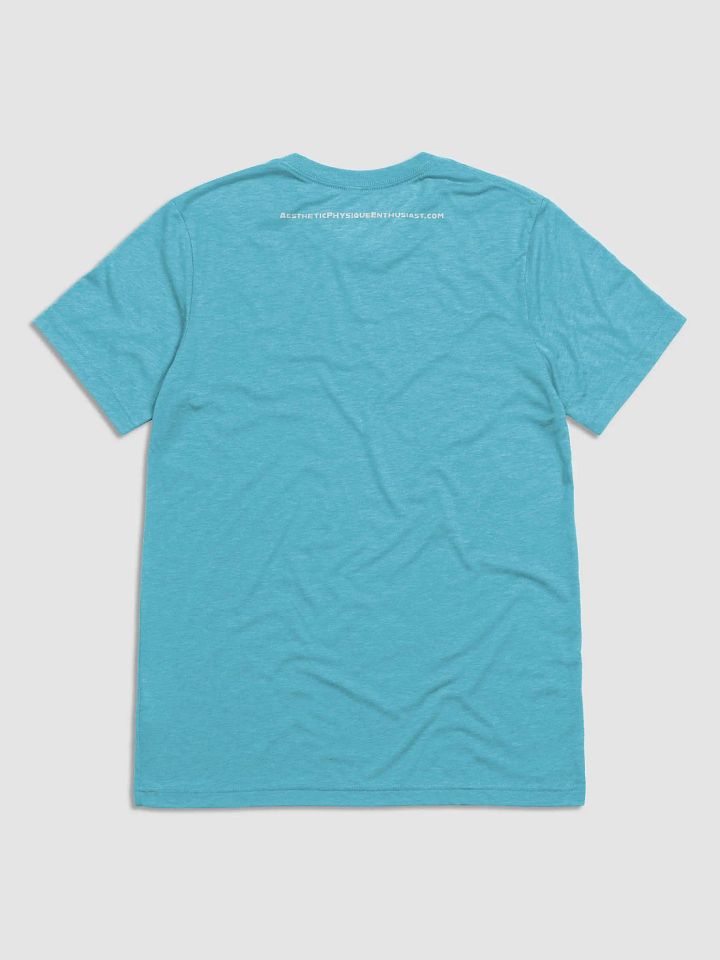 APE Triblend T-shirt [Unisex] product image (2)