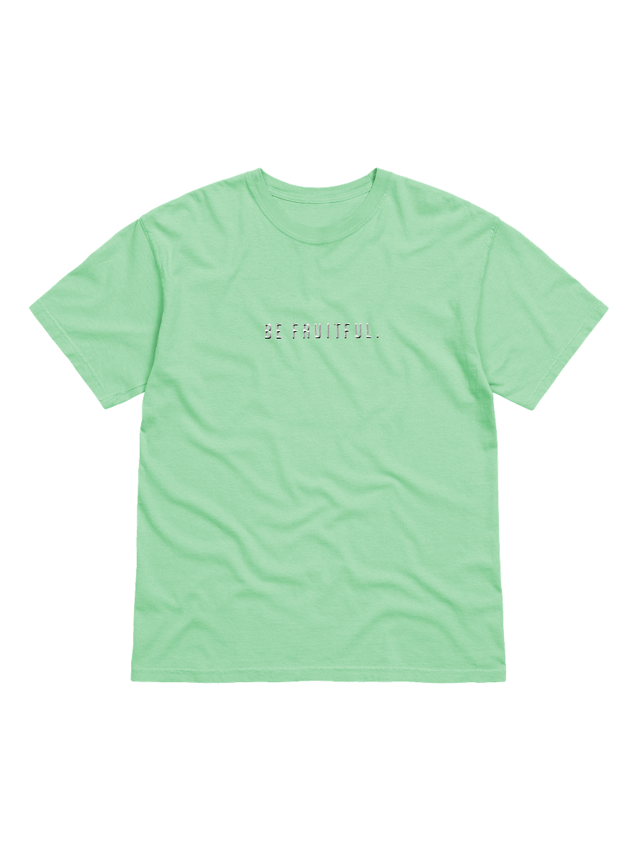 Be Fruitful Embroidered Colored Shirt product image (2)