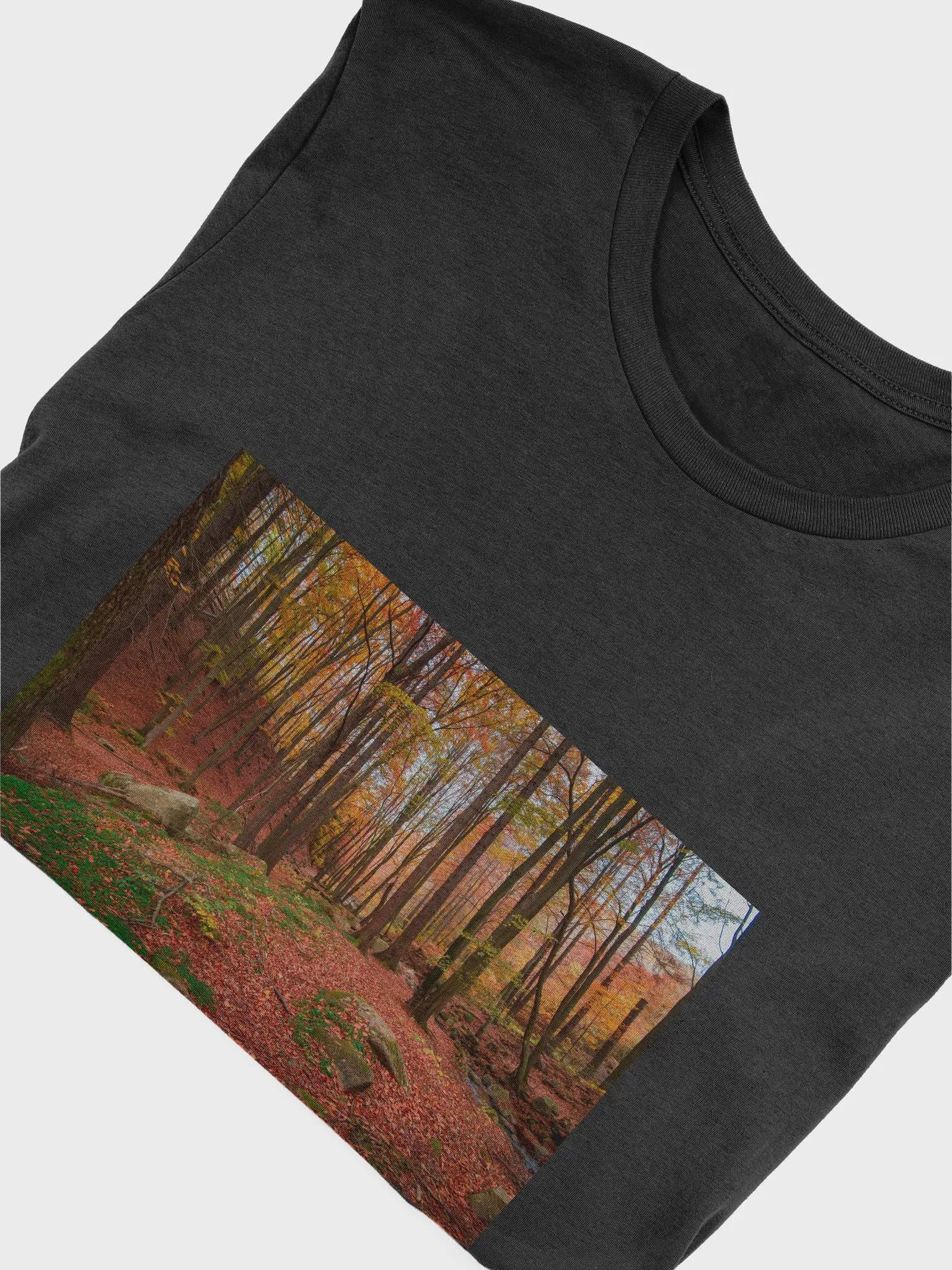 Forest Fall product image (5)