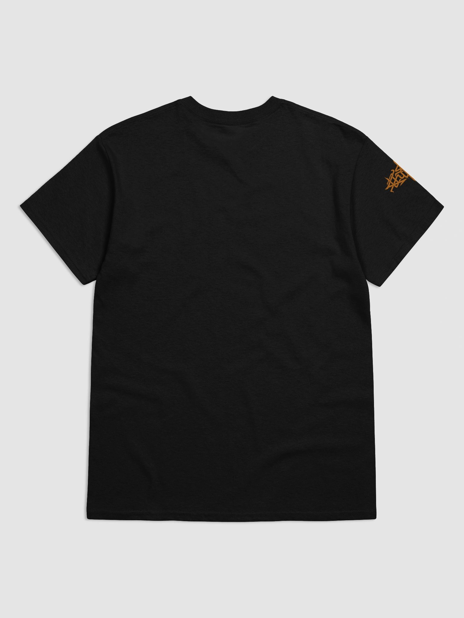 City Ruins (Shade) T-shirt product image (13)