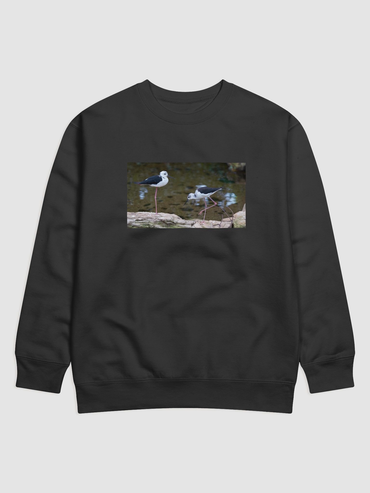 Majestic Avian Elegance Sweatshirt product image (1)