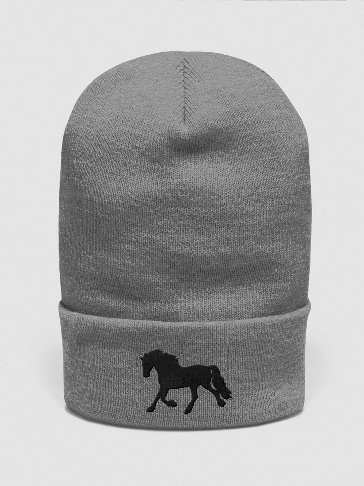 Moriesian Beanie product image (21)