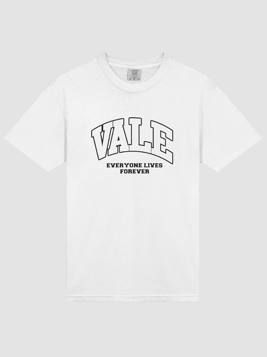 Valve Fitness & Services Logo T-shirt product image (20)