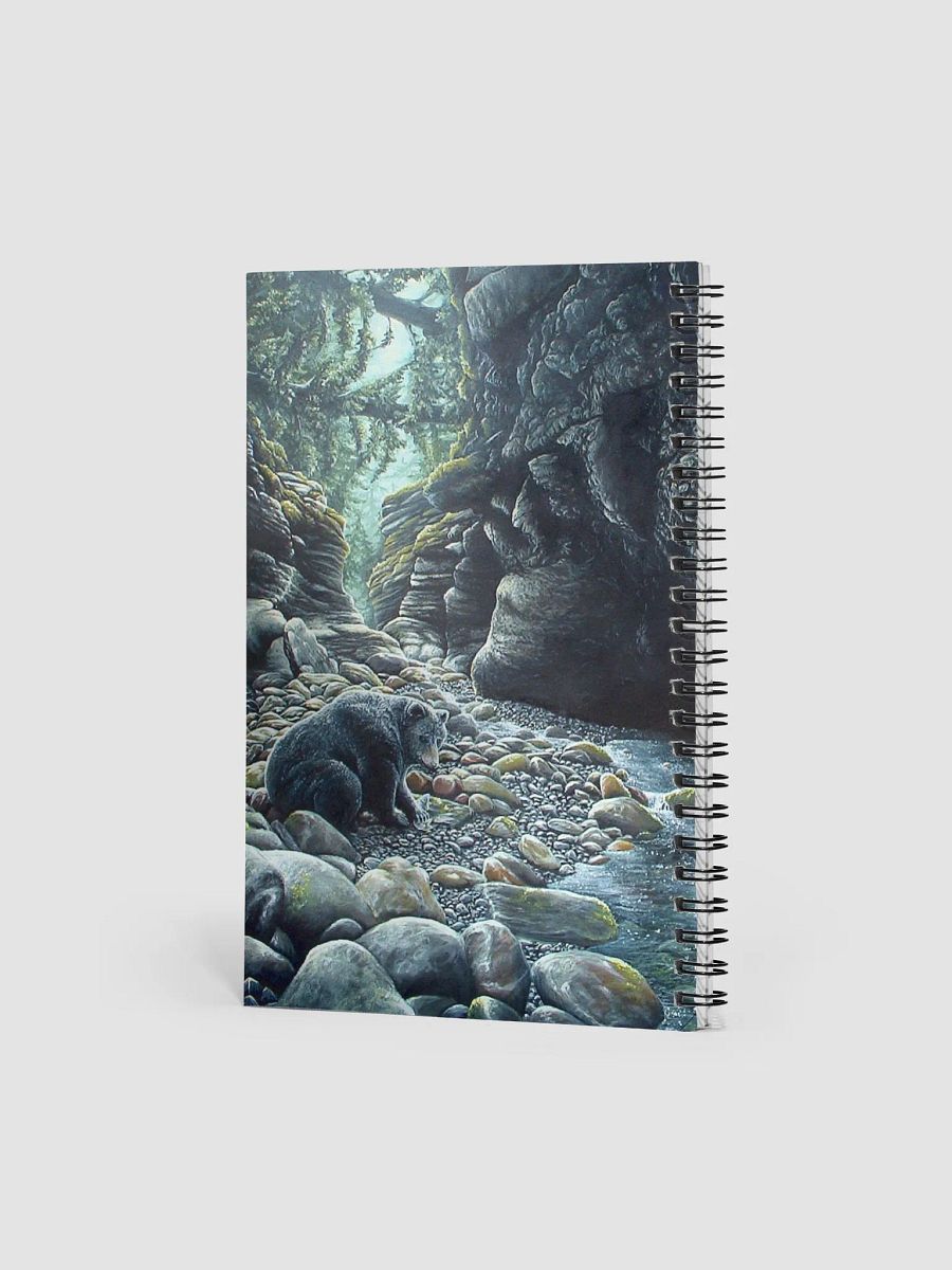 Solitude black bear/ours noir product image (3)