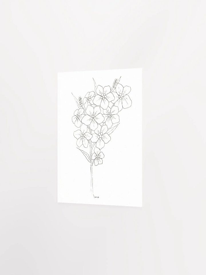 Forget-Me-Not Line Art Poster product image (2)