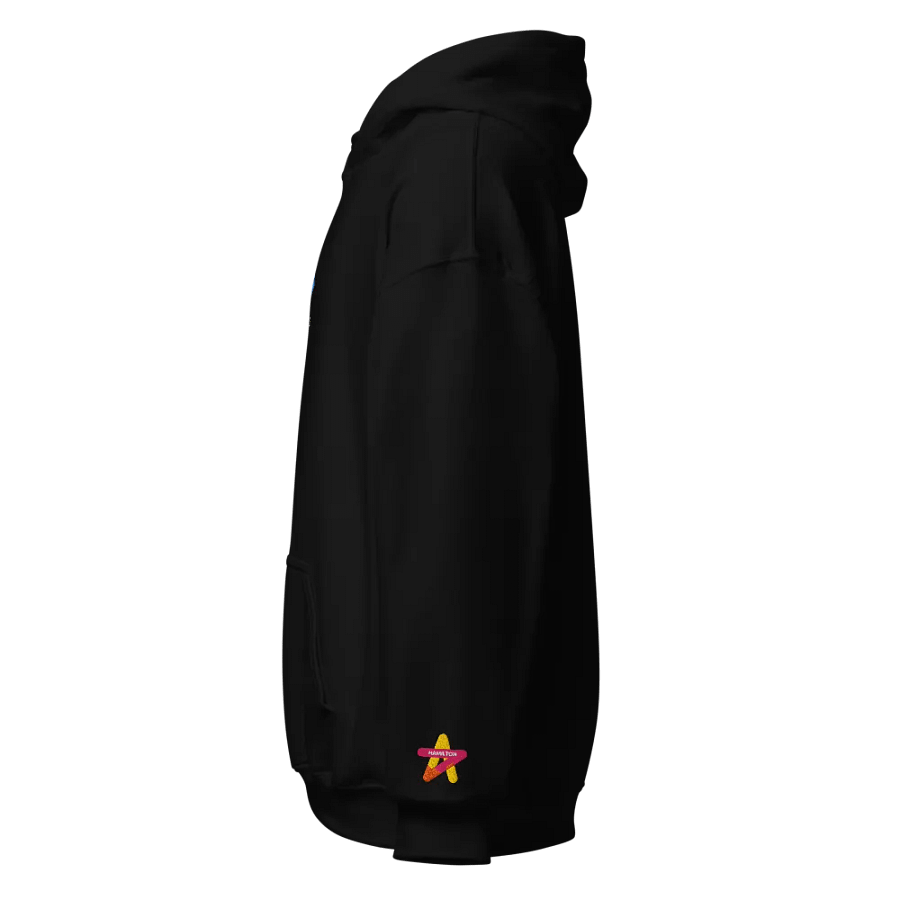 DAGWorks-Hamilton-Burr Hoodie product image (3)