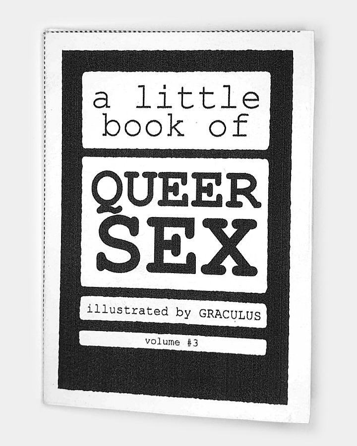 A Little Book of Queer S*x: Volume #3 product image (1)