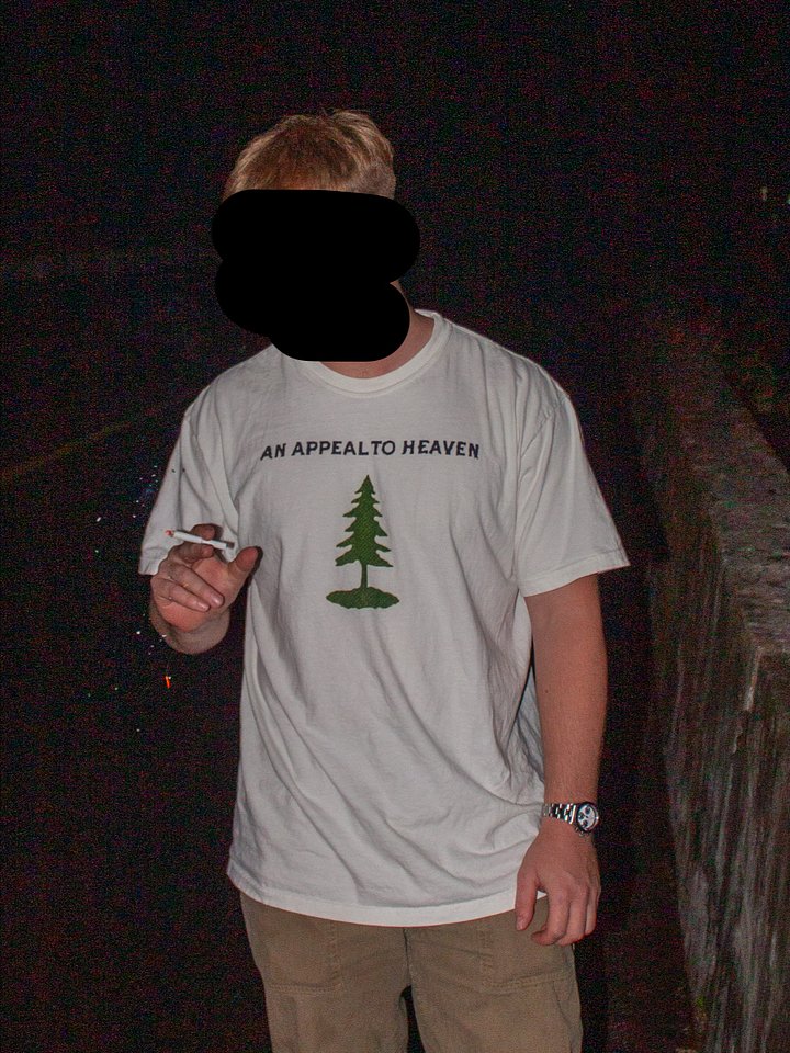 AN APPEAL TO HEAVEN SHIRT product image (2)