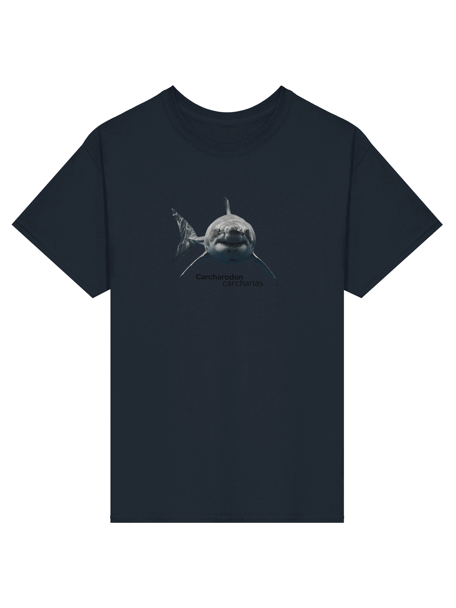 Carcharodon carcharias product image (1)