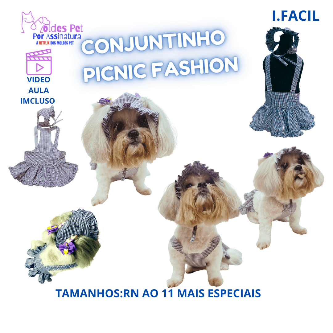 Conjuntinho Picnic Fashion - Modelagem Pet PDF product image (1)