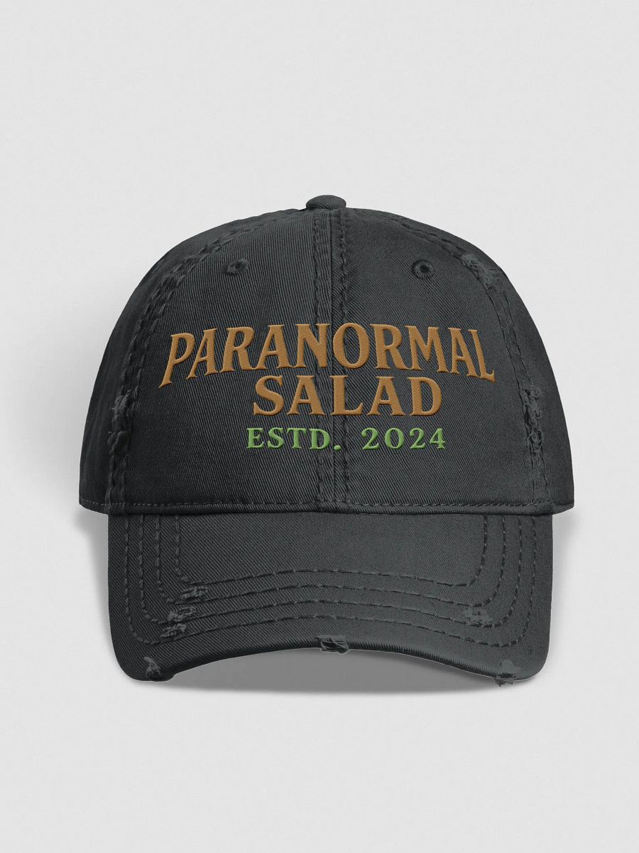 Paranormal Salad Legacy Collection – Official JAX Ember Hat product image (1)