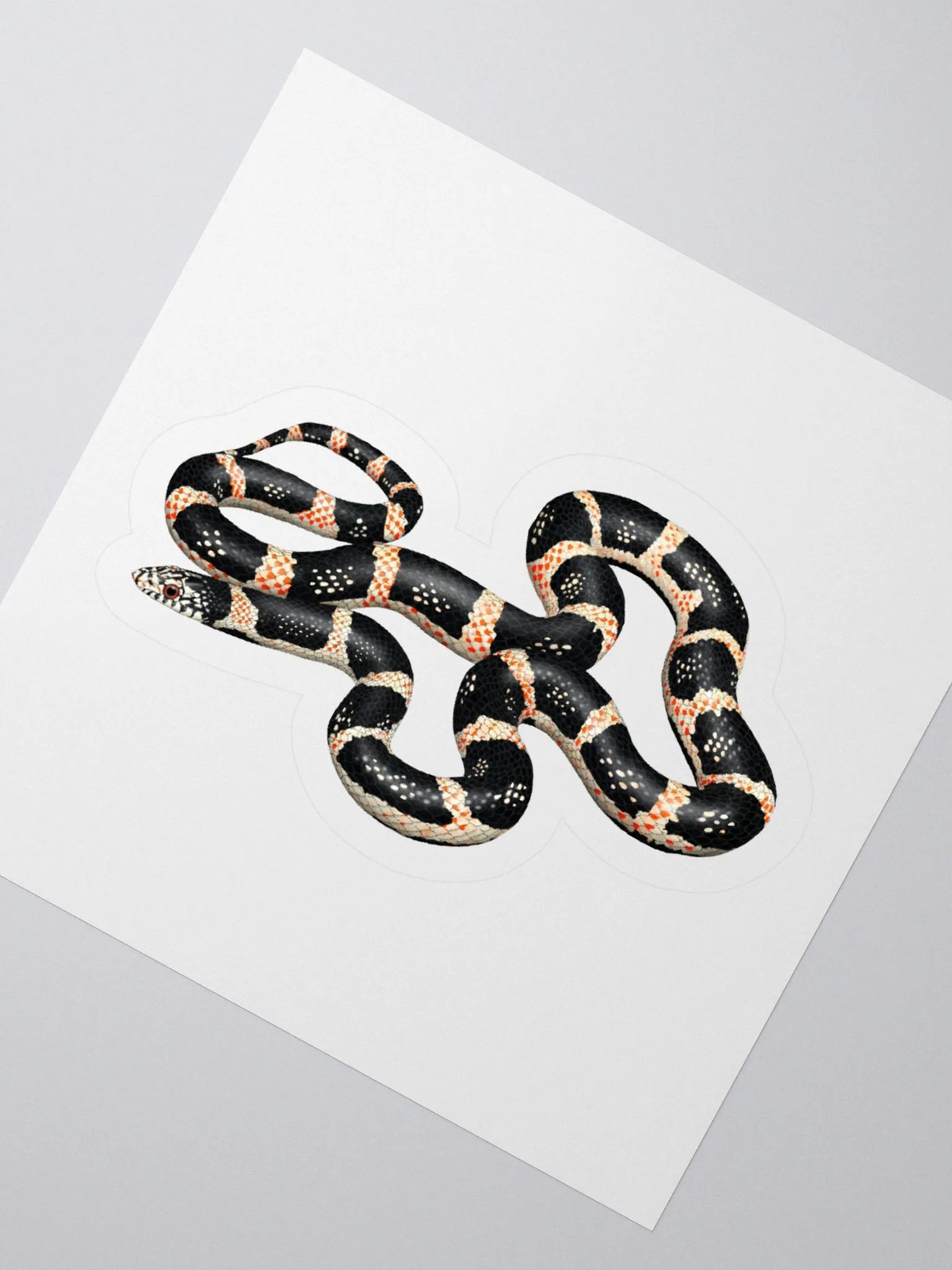 Die-Cut Sticker – Longnosed Snake product image (2)
