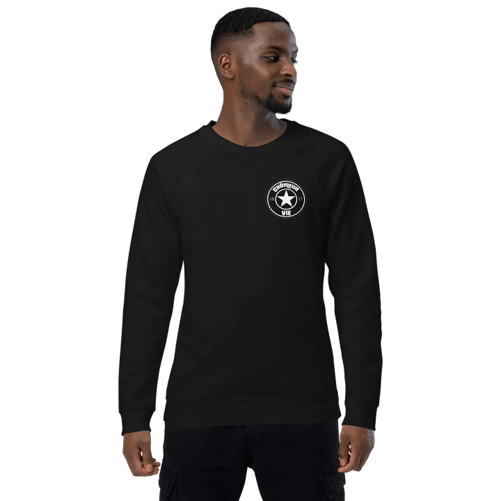 PULL CHÔMEUR VIE product image (1)