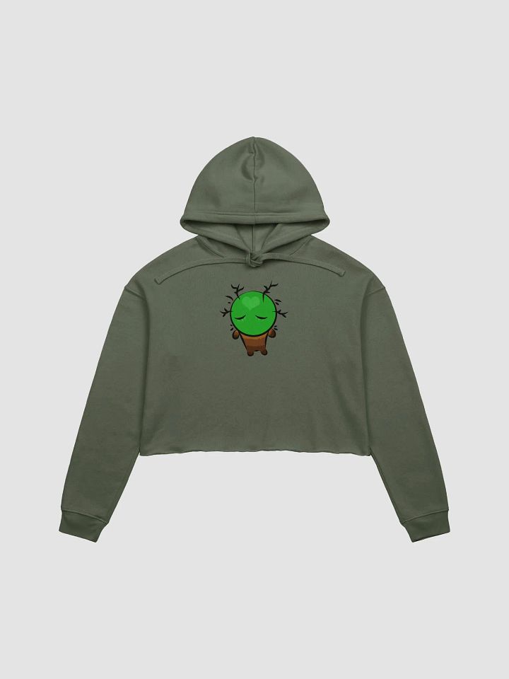 Frank Heart Fleece Crop Hoodie product image (1)