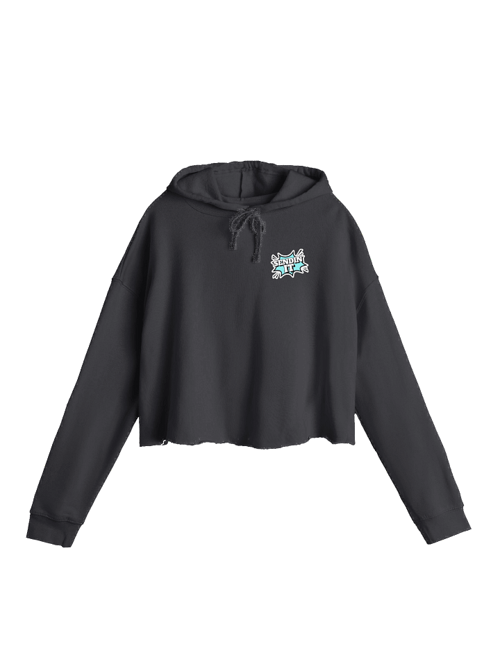 Sendin It! - Crop Hoodie product image (1)