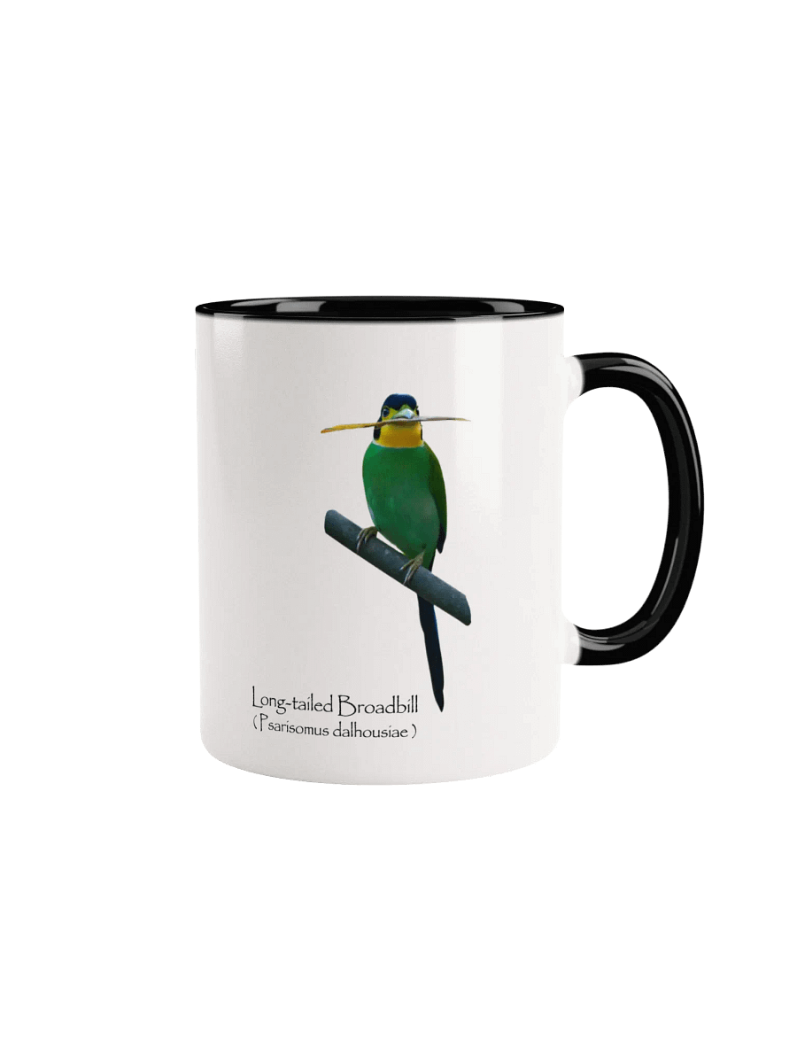 Long-tailed Broadbill mug. product image (1)