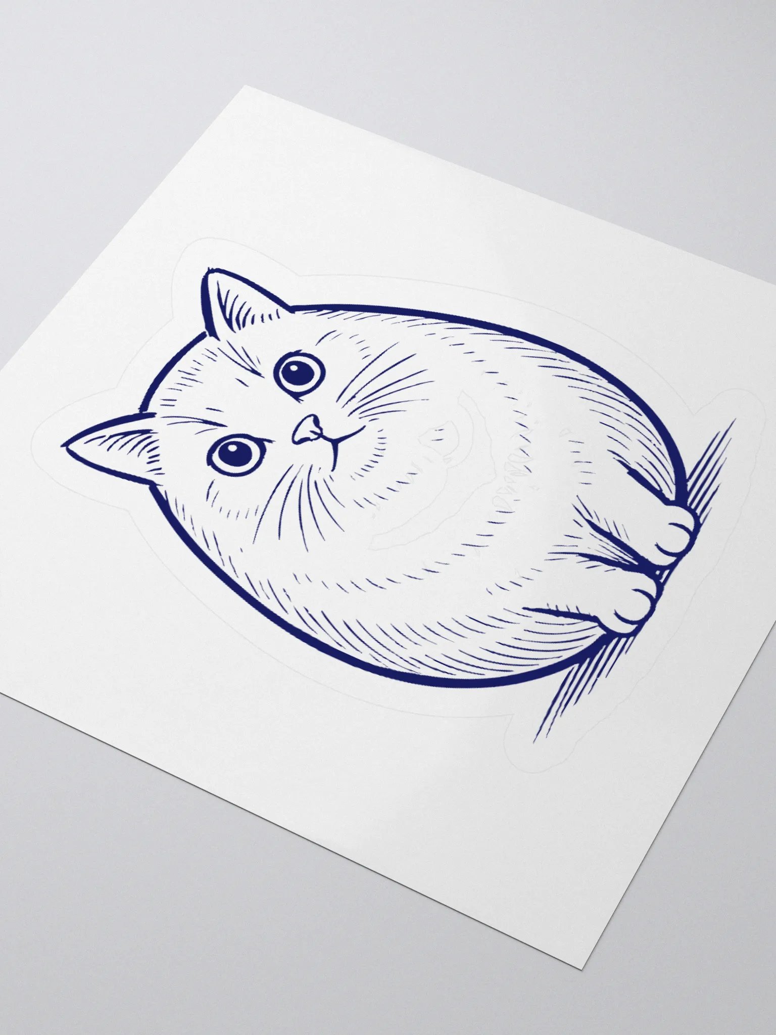 Cat product image (9)
