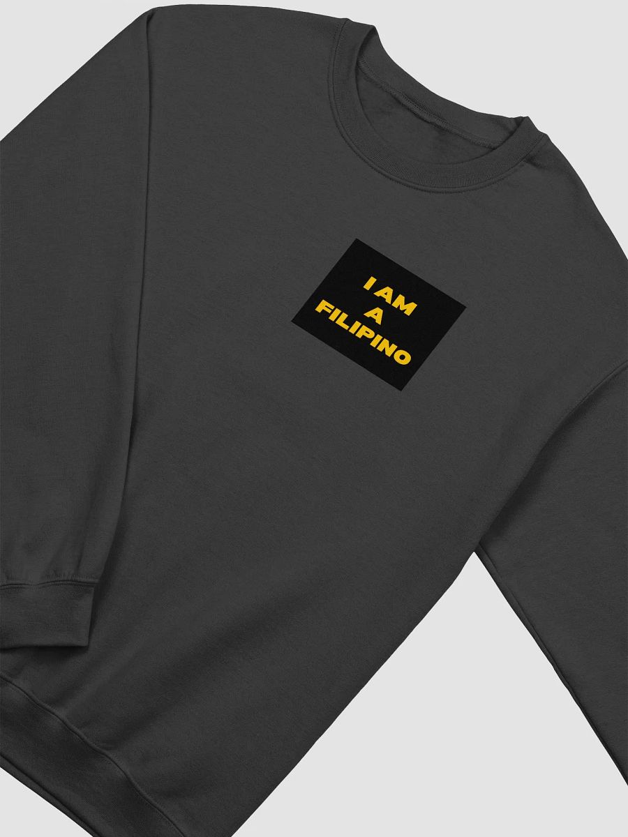 I AM A FILIPINO HOODIE product image (2)