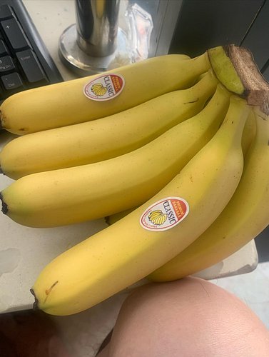 I’m eating banana and grape as reward. Very yummy very tasty I like it