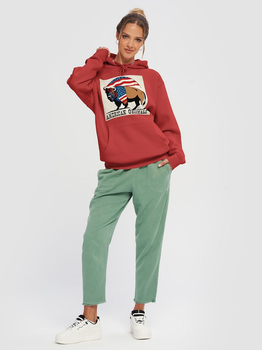 American Original Bison Pull Over Hoodie product image (38)