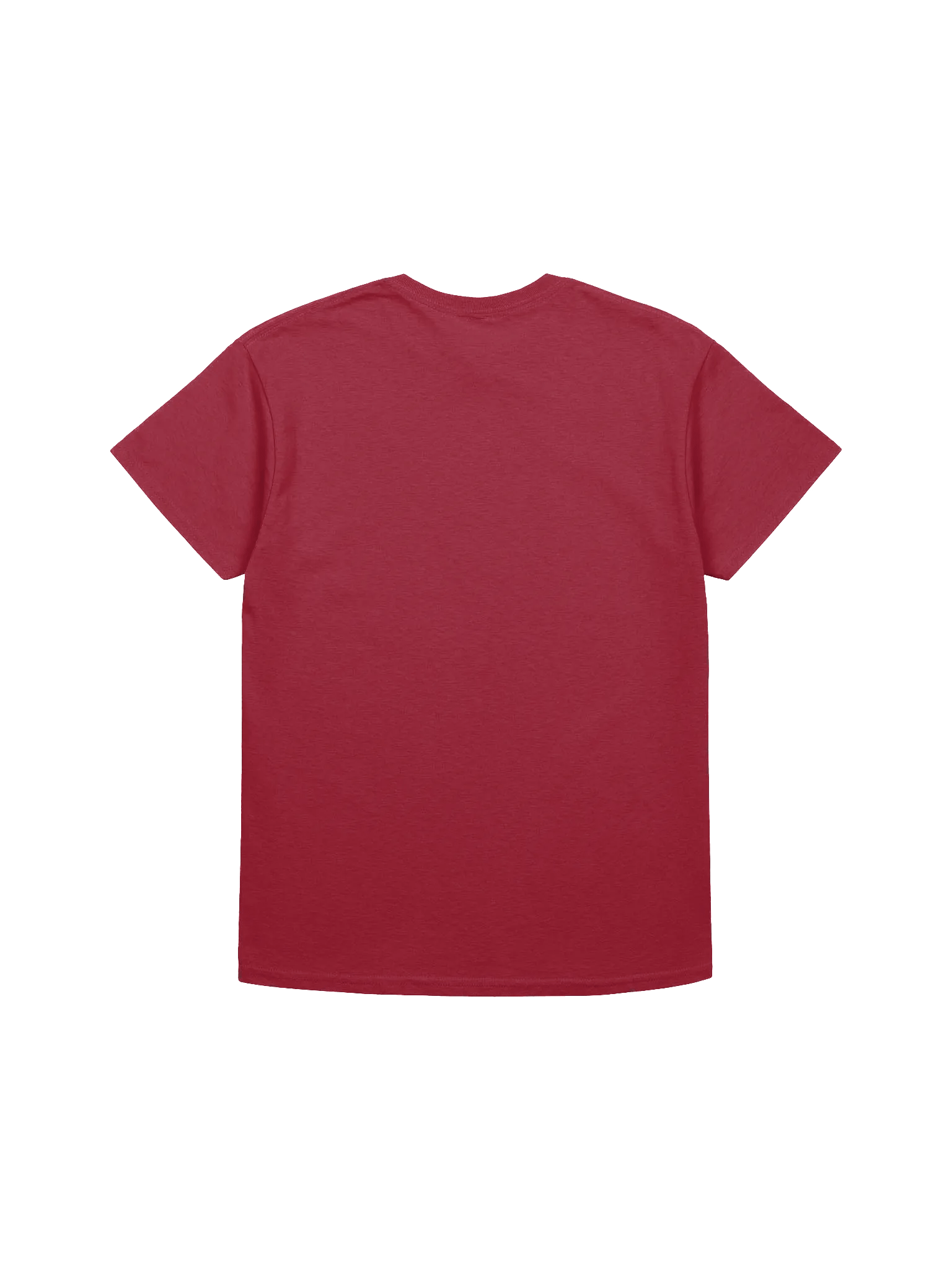 Lifestyle Culture T-Shirt (Supporter Tee) product image (14)