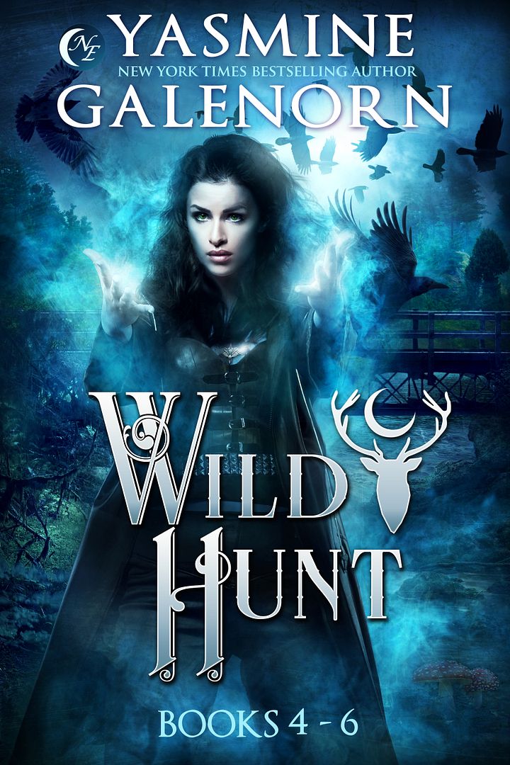 Wild Hunt Books 4-6 product image (1)