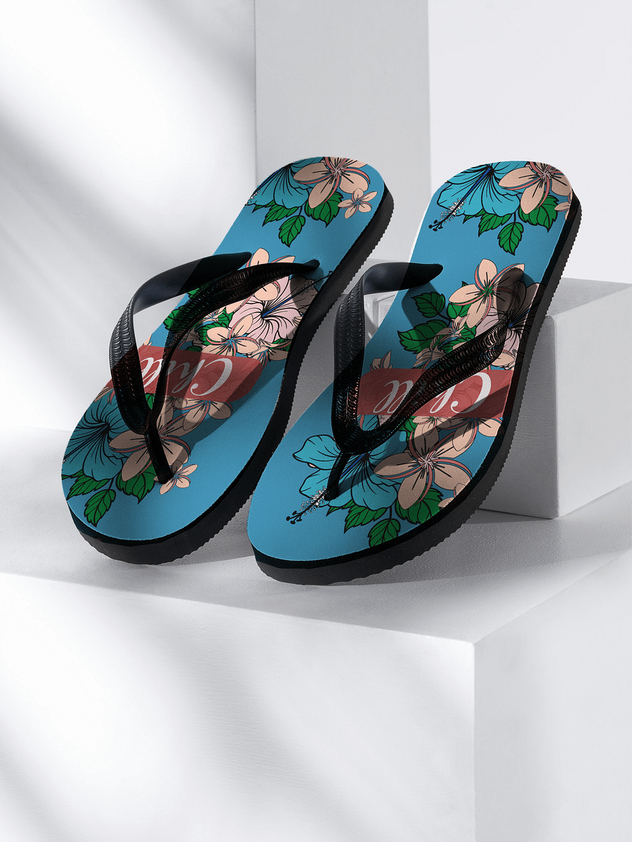 UNISEX Flip-Flops, Chill product image (1)