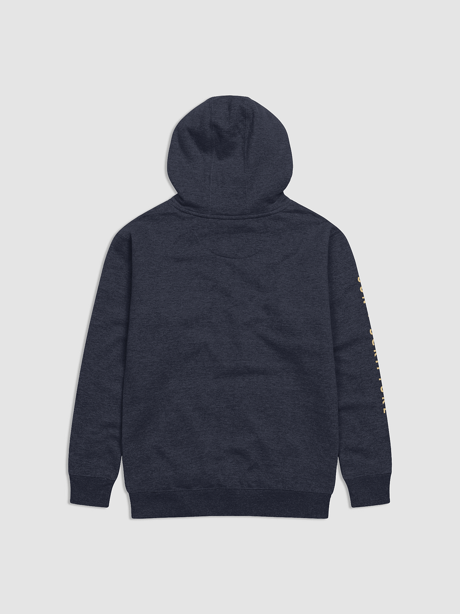 Sun + Scripture Hoodie product image (3)